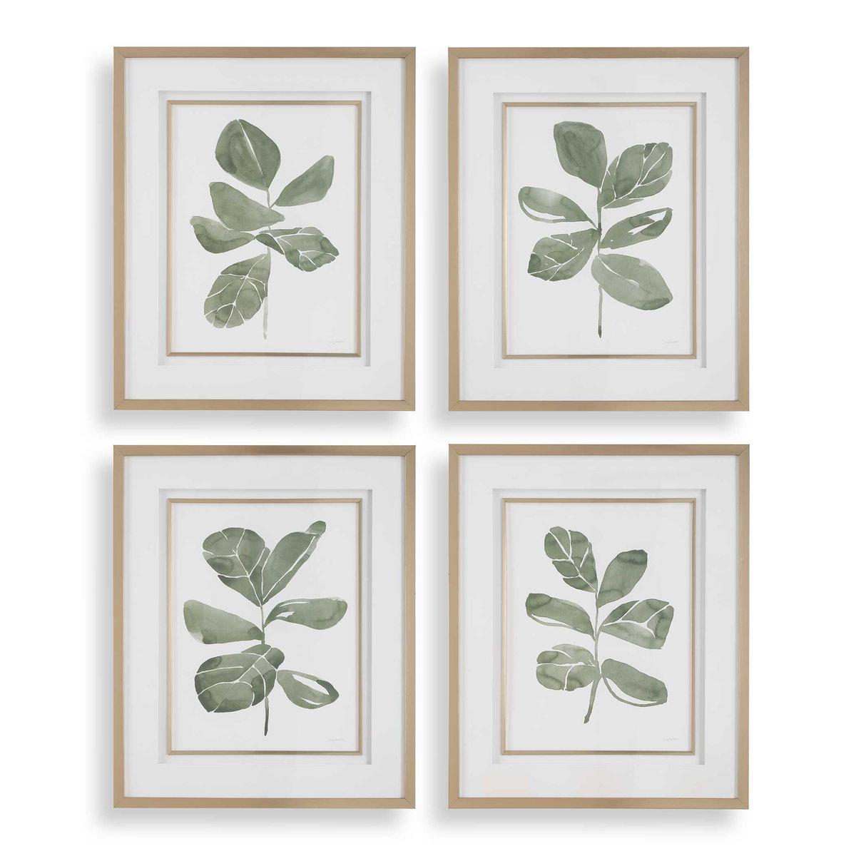 Fiddle Head Leaf Botanical Prints Set/4, Art by Uttermost, 28" width x 34" height x 2.12" depth View 1