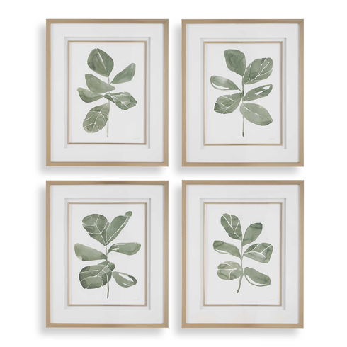 Fiddle Head Leaf Botanical Prints Set/4