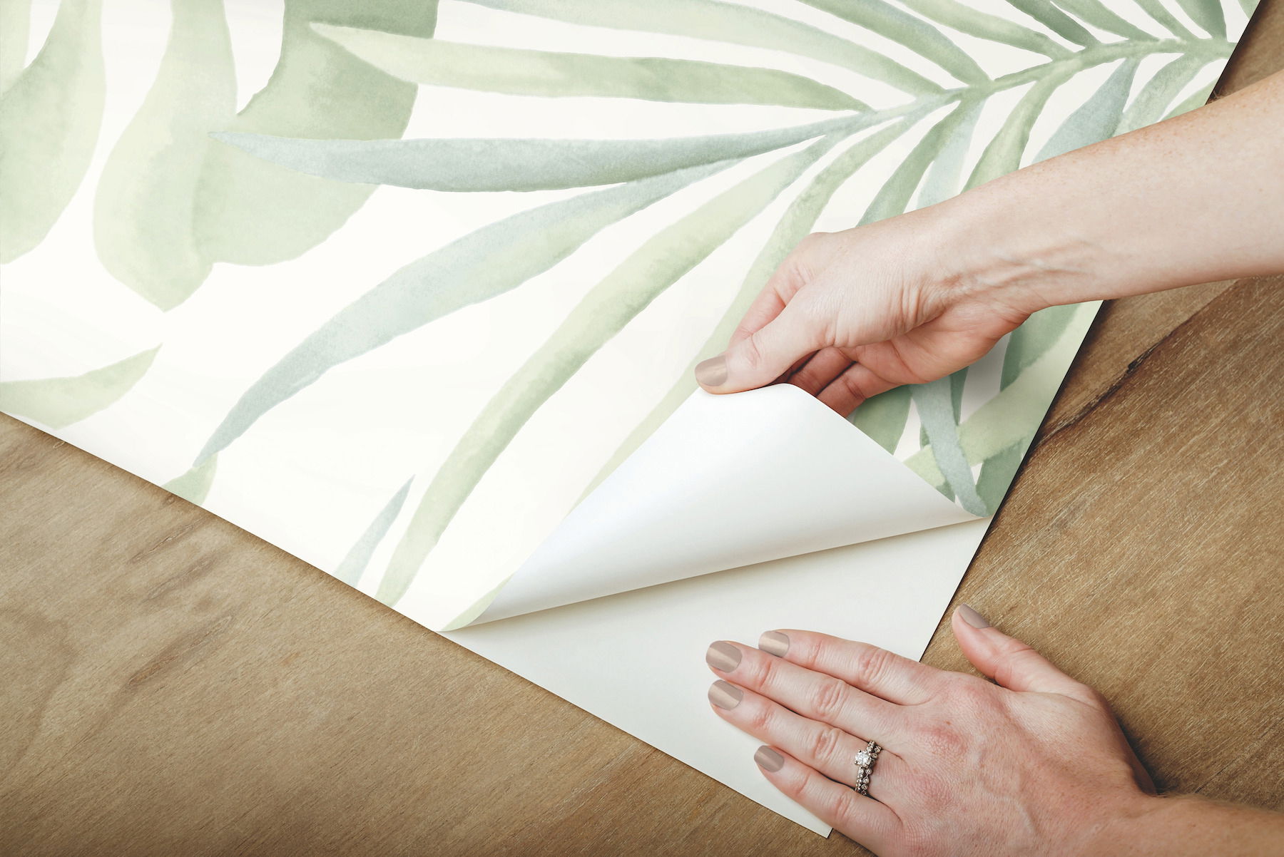 Paradise Palm Aloe Peel & Stick Wallpaper large image 