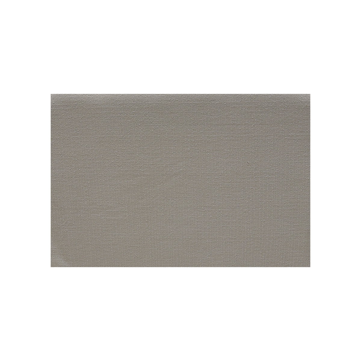 Norrie Dining Chair Cream, by Moe's Home, 24.41" width x 33.46" height x 24.41" depth View 7