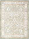 Amir Machine Woven Rug, by Surya, 9'2.24" length x 6'6.74" width thumbnail
