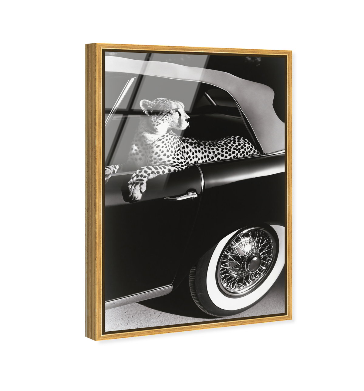 Convertible Feline I (No Embellishment), Art by Oliver Gal,  24x36 View 2
