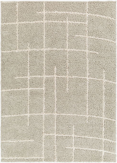 Maryland Shag Machine Woven Rug