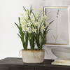 Ariana Orchid Planter, Artificial Plants & Flower by Uttermost, 16.75" width x 24.37" height x 15.5" depth thumbnail 2