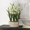 Ariana Orchid Planter, Decorative by Uttermost, 16.75" width x 24.37" height x 15.5" depth thumbnail 2