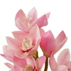 Bouquet Of Cymbidium Orchids Pink And Peach Tones Real Touch 36 Pcs/2Varieties, Artificial Plants & Flower by Eichholtz USA, 27.56" width x 19.5" height x 27.56" depth thumbnail 2