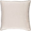 Sasha Accent Pillow, Decorative Pillow by Surya, 20" length x 20" width thumbnail