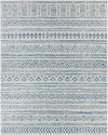 Eagean Machine Woven Rug, by Surya, 9'0.27" length x 6'6.74" width thumbnail