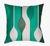 Moderne Accent Pillow thumbnail 0