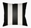 Edgartown Accent Pillow, Decorative Pillow by Surya, 18" length x 18" width thumbnail