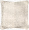 Haruko Accent Pillow, Decorative Pillow by Surya, 22" length x 22" width thumbnail