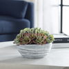 Peoria Succulent Accent thumbnail 1