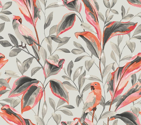 Tropical Love Birds Grey Wallpaper