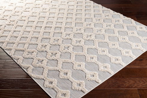 Toledo Machine Woven Rug