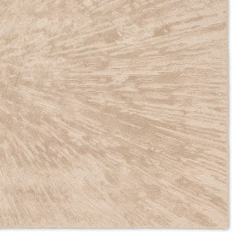 Jaipur Living Famille APL01 Handknotted Medallion Tan Area Rug (8