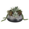 Yuma Succulent Centerpiece thumbnail 3