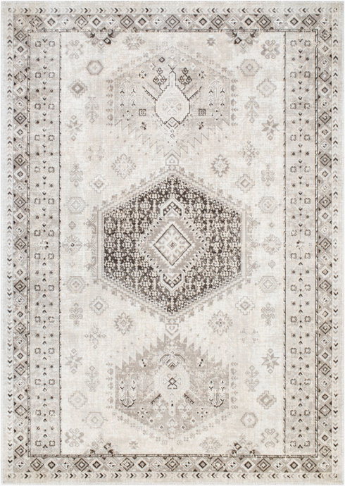 Basel Machine Woven Rug