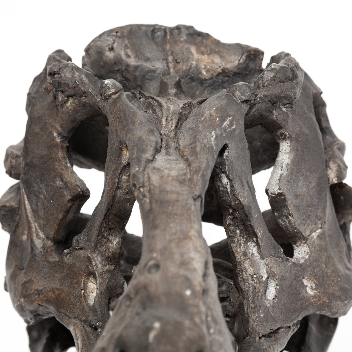 Jurassic 6L x 10W Brown Resin Tyrannosaurus Skull Replica, Decorative Object by Mercana, 6" length x 9.84" width x 11.81" height View 10
