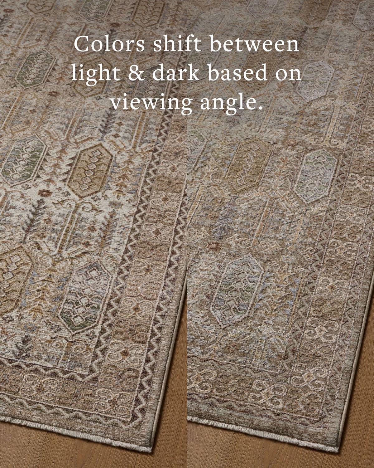 Loloi Aylin Rug, 2' length x 3' width View 5