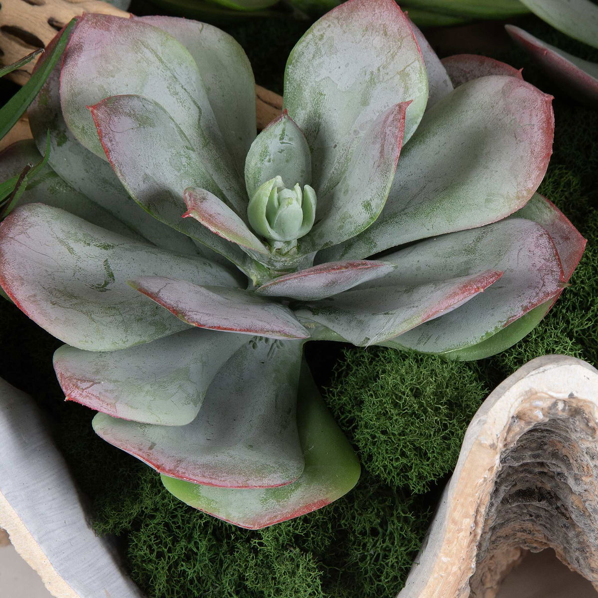 Seaside Breeze Succulents, Artificial Plants & Flower by Uttermost, 23" width x 10" height x 14" depth View 3