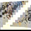 Feathertail thumbnail 1
