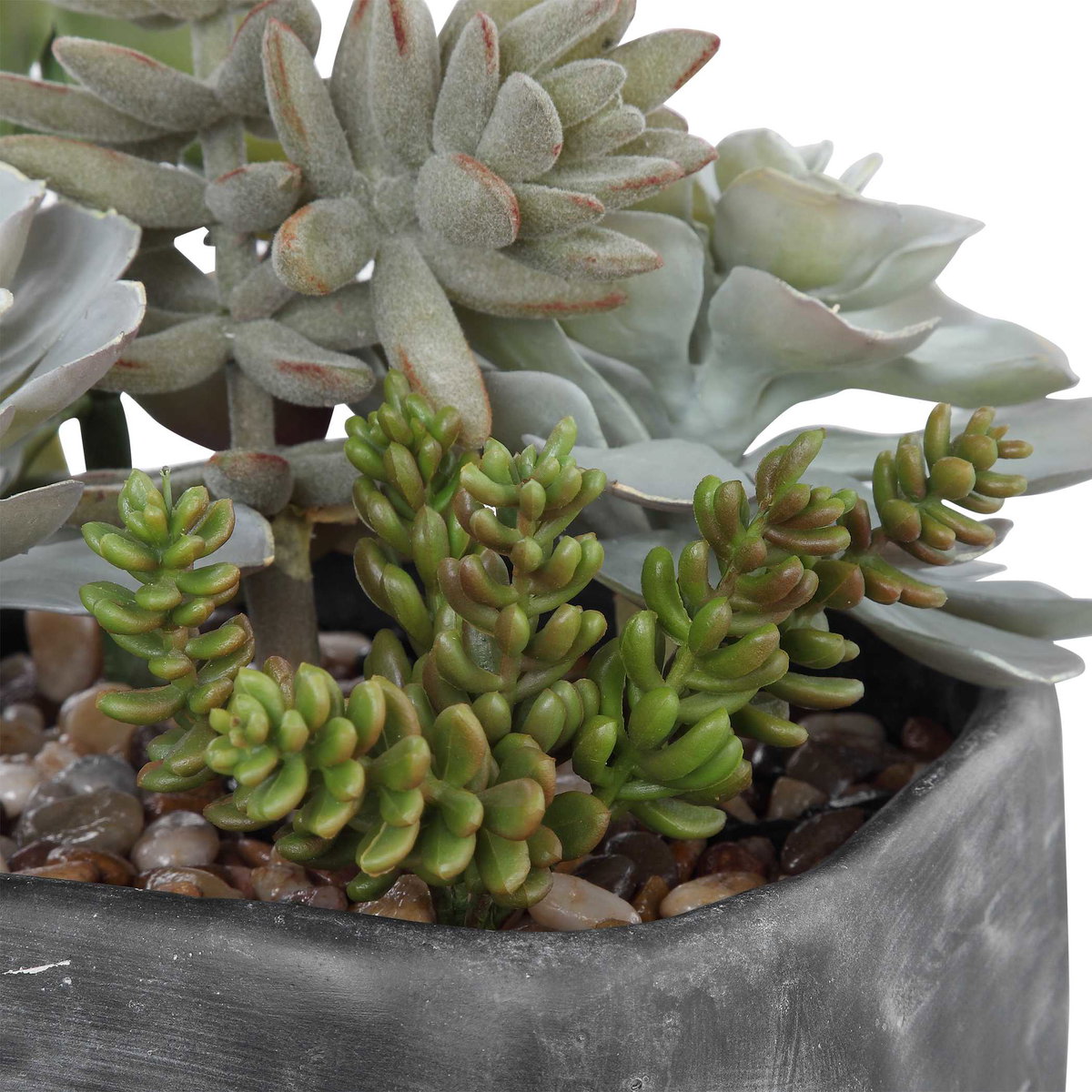 Alverio Desert Garden Succulents, Artificial Plants & Flower by Uttermost, 9.25" width x 9.5" height x 10.75" depth View 5