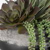 Yuma Succulent Centerpiece, Artificial Plants & Flower by Uttermost, 15" width x 13" height x 14" depth thumbnail 5
