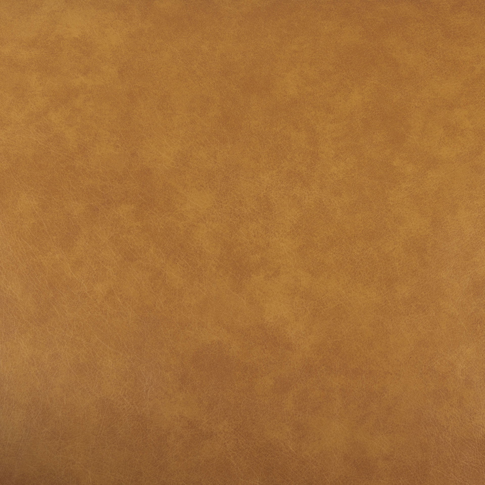 D'Arcy 65.0L x 37.0W x 34.0H Tan Leather Love Seat, Sofas & Sectional by Mercana, 65.35" length x 36.61" width x 33.86" height View 3