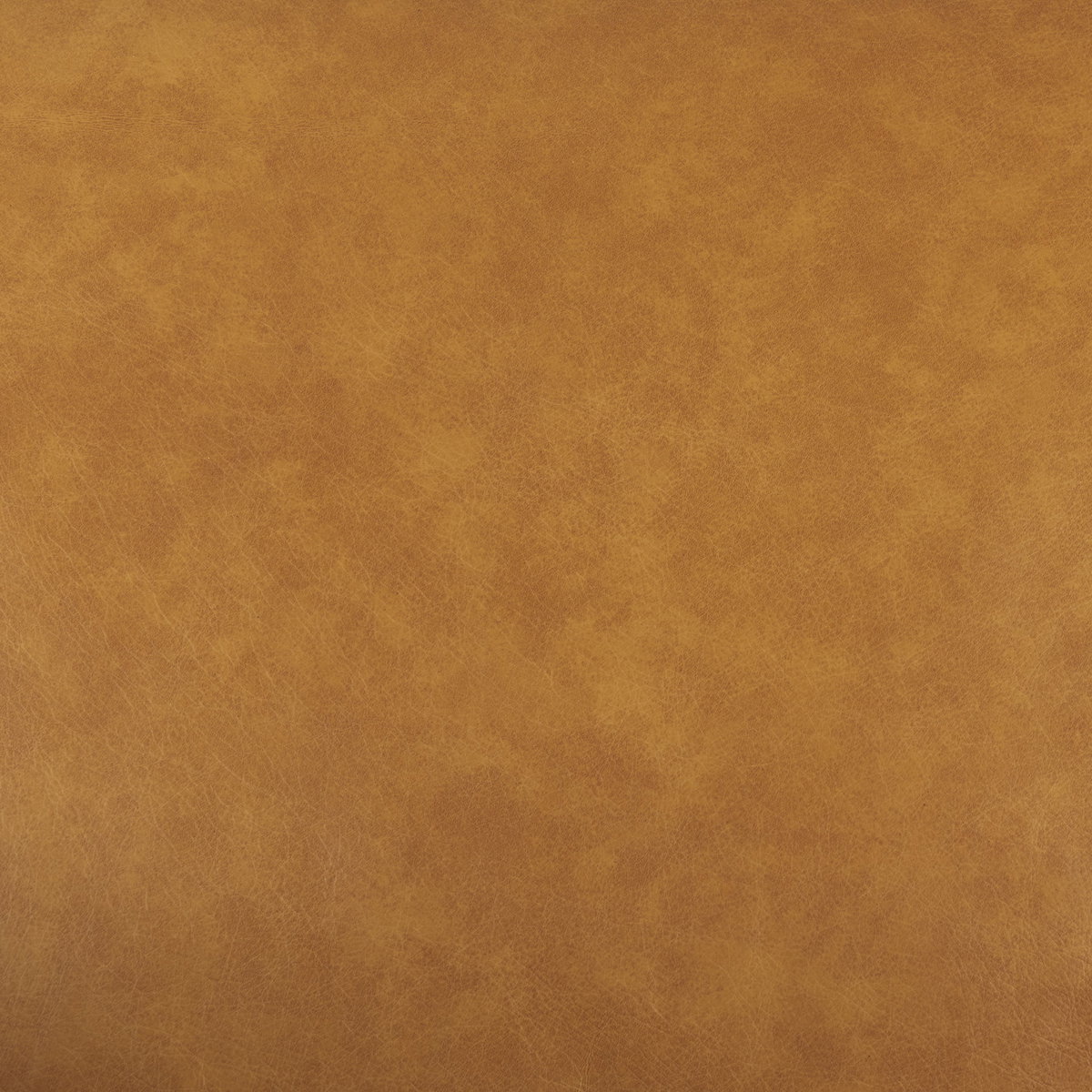 D'Arcy 65.0L x 37.0W x 34.0H Tan Leather Love Seat, Sofas & Sectional by Mercana, 65.35" length x 36.61" width x 33.86" height View 3