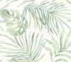 Paradise Palm Aloe Peel & Stick Wallpaper thumbnail 0