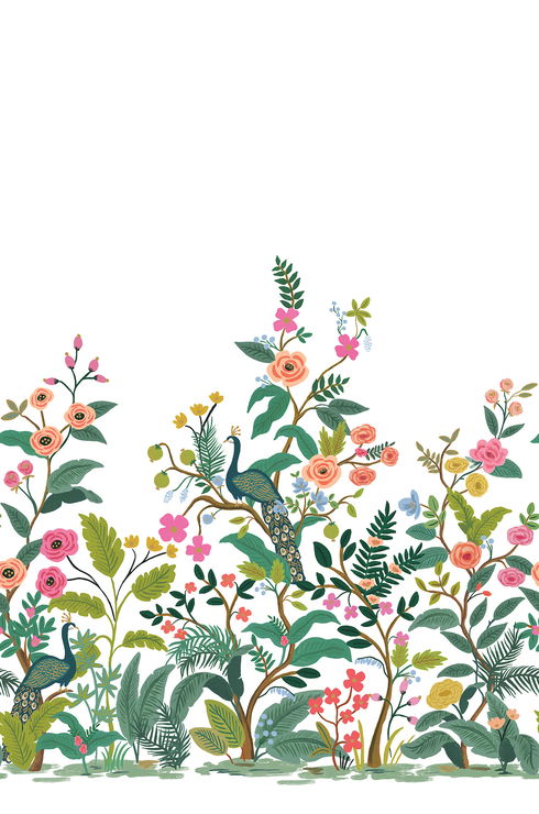 Peacock White Wall Mural