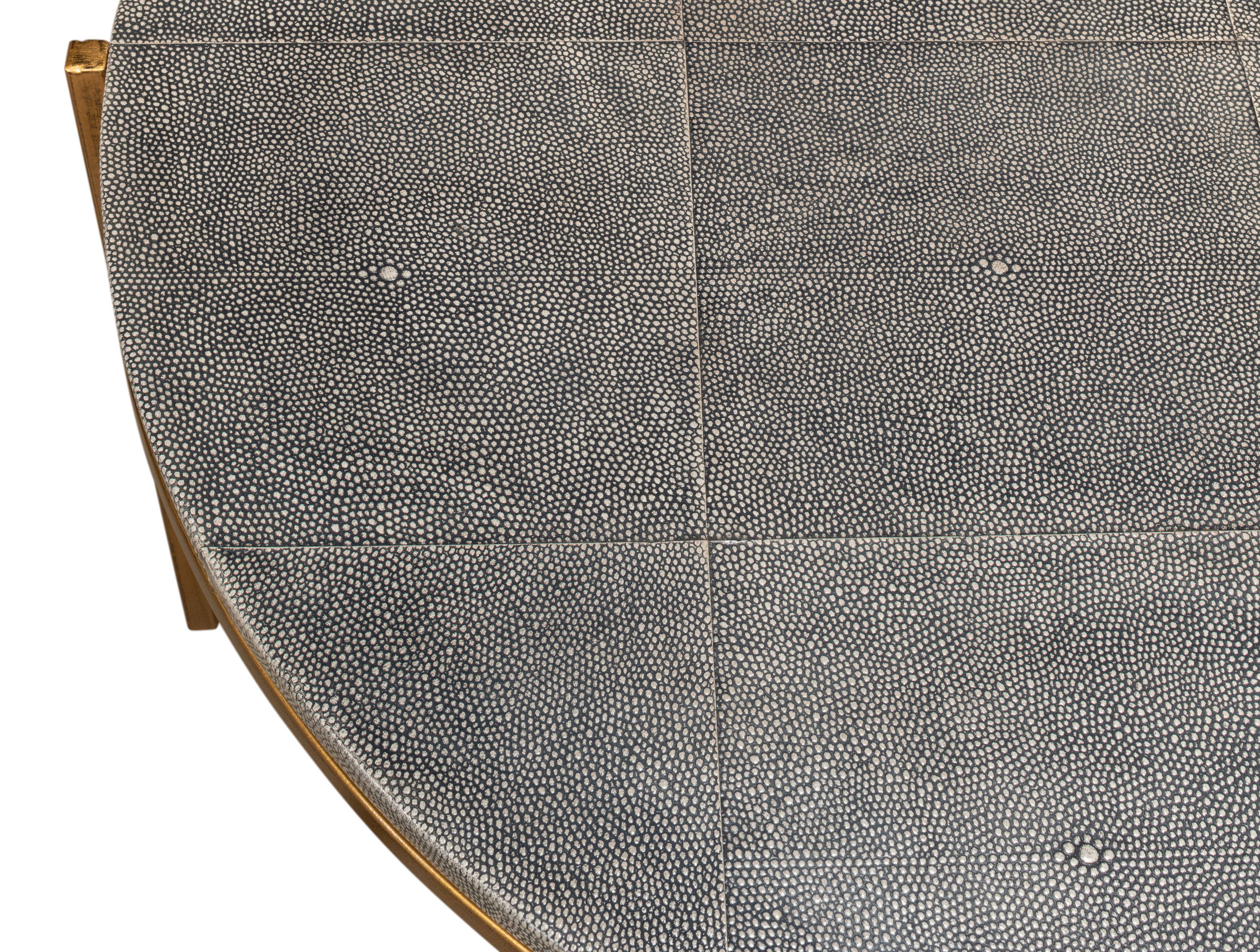 Grey Shagreen Coffee Table large image 