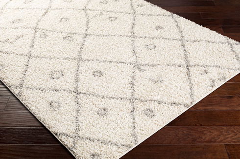 Taza Shag Machine Woven Rug