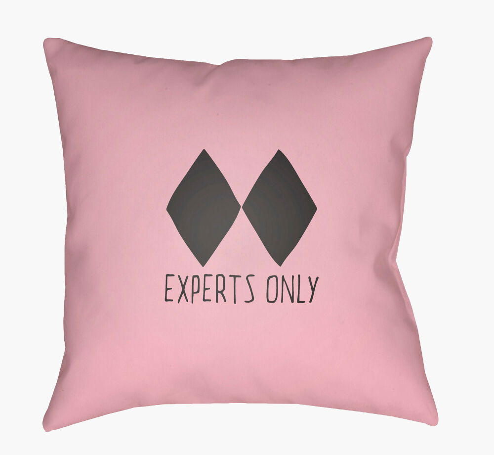 Black Diamond Accent Pillow large image 