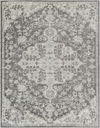 Harput Machine Woven Rug thumbnail 0