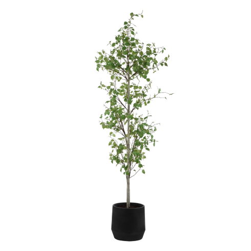 Boreal Potted Birch Tree