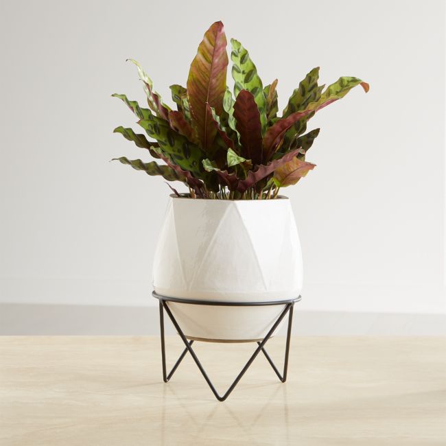 Online Designer Combined Living/Dining Aaro Medium Geo Planter with Stand