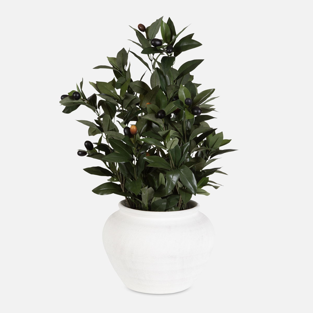 Elena Olive Centerpiece, Artificial Plants & Flower by Uttermost, 20" width x 28" height x 20" depth View 1