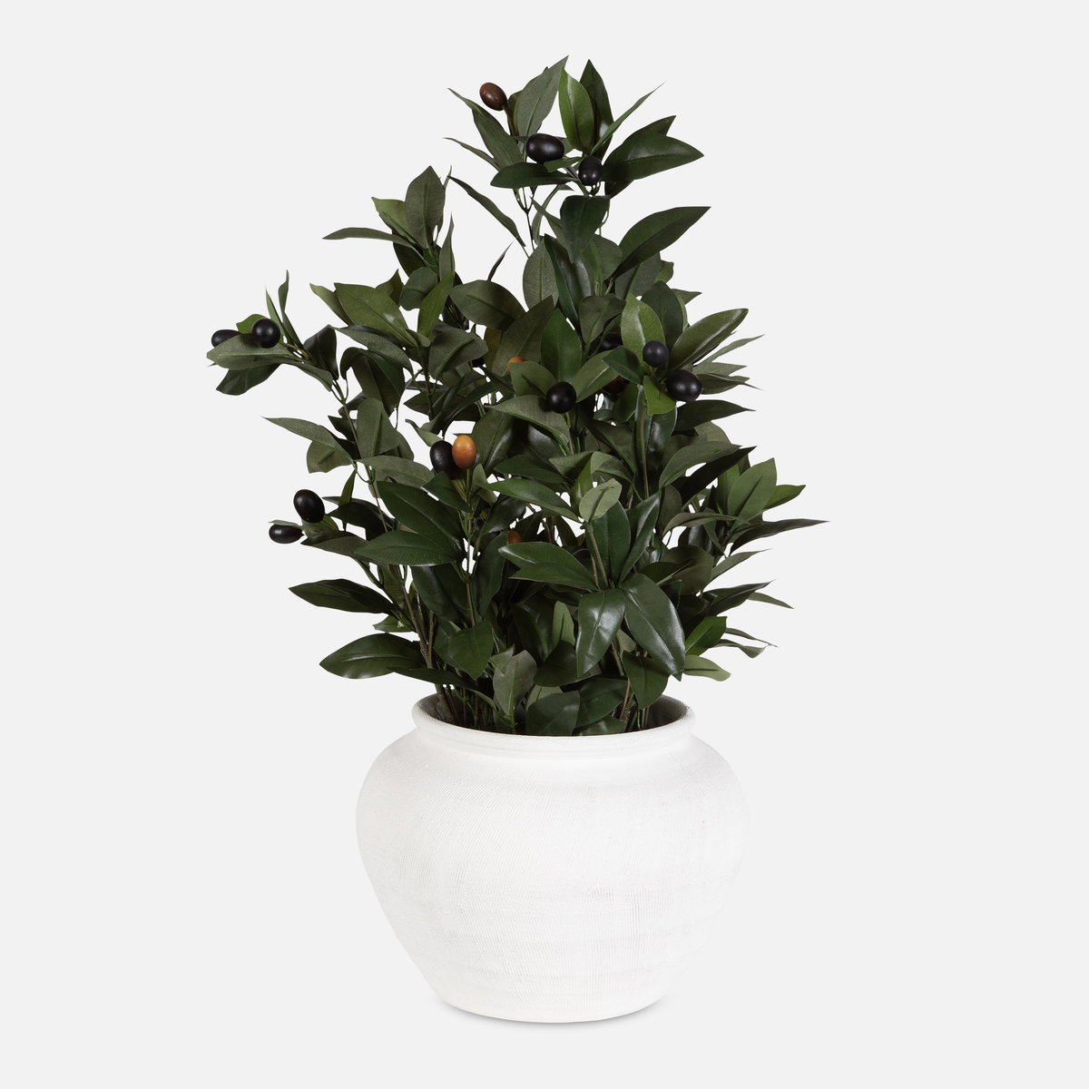Elena Olive Centerpiece, Decorative by Uttermost, 20" width x 28" height x 20" depth View 1