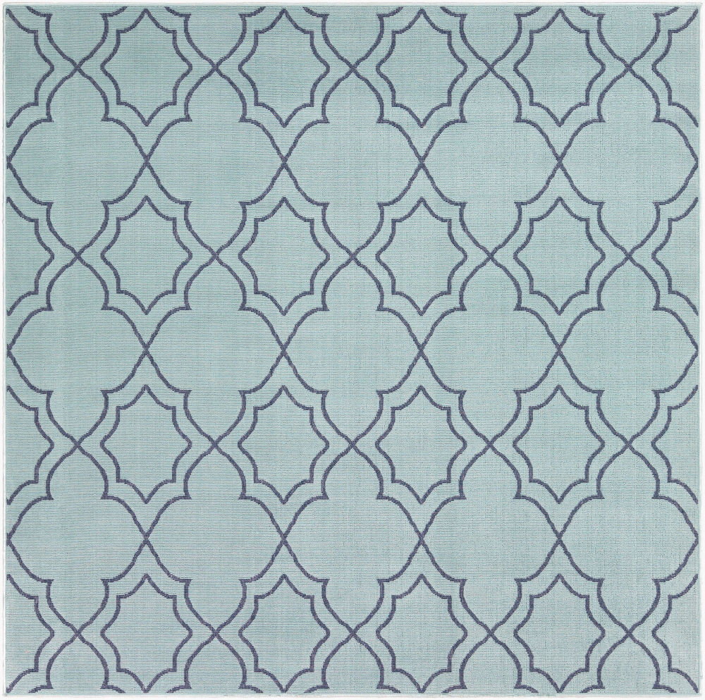 Alfresco Machine Woven Rug, by Surya, 4'5" length x 2'5" width