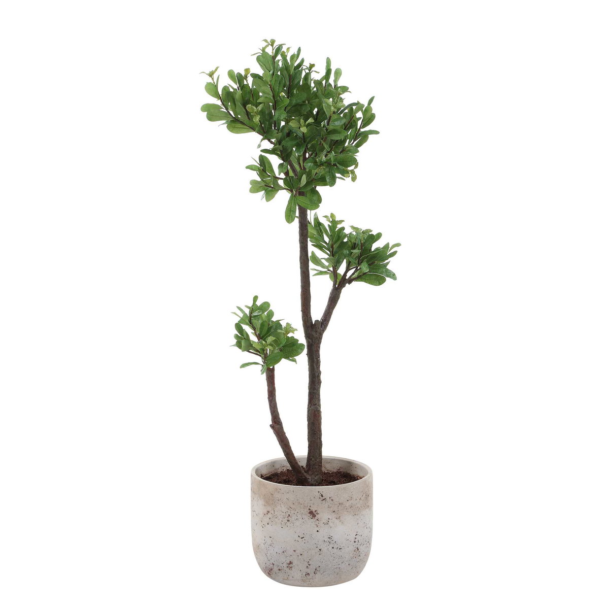 Arbor Strawberry Tree, by Uttermost, 1'1.5" width x 3'7" height x 1'2.75" depth View 4
