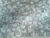 Rose Dapple Warm Grey Peel & Stick Wallpaper thumbnail 0