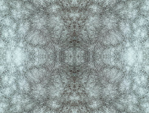 Rose Dapple Warm Grey Peel & Stick Wallpaper