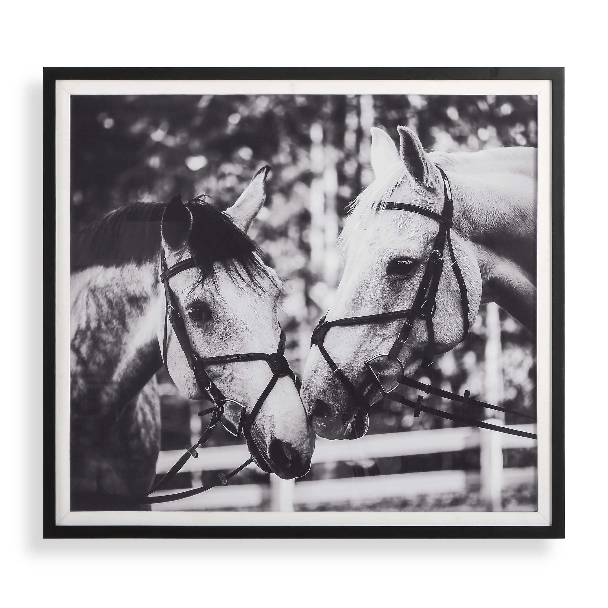 Apple Of My Eye Framed Print large image 