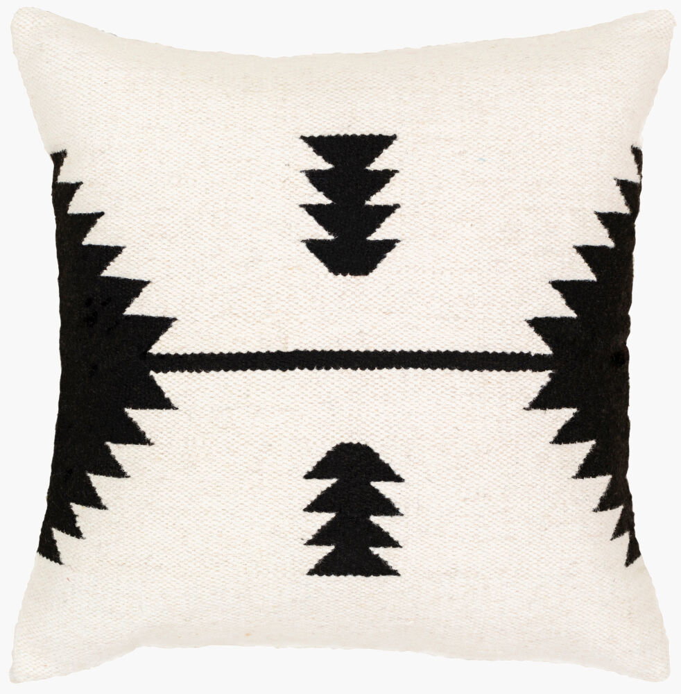 Shiprock Accent Pillow, Decorative Pillow by Surya, 20" length x 20" width
