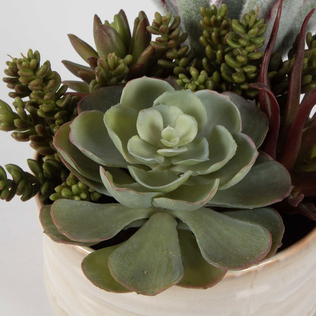 Mesa Succulent Accent, Artificial Plants & Flower by Uttermost, 9.5" width x 8.5" height x 9.5" depth View 6