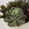 Mesa Succulent Accent, Artificial Plants & Flower by Uttermost, 9.5" width x 8.5" height x 9.5" depth thumbnail 6