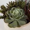 Mesa Succulent Accent, Artificial Plants & Flower by Uttermost, 9.5" width x 8.5" height x 9.5" depth thumbnail 6