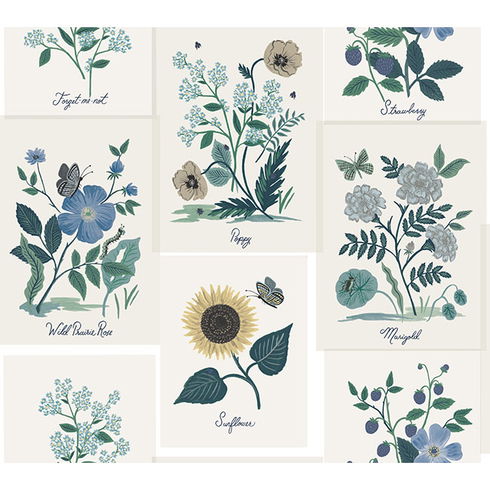Botanical Prints White & Blue Wallpaper