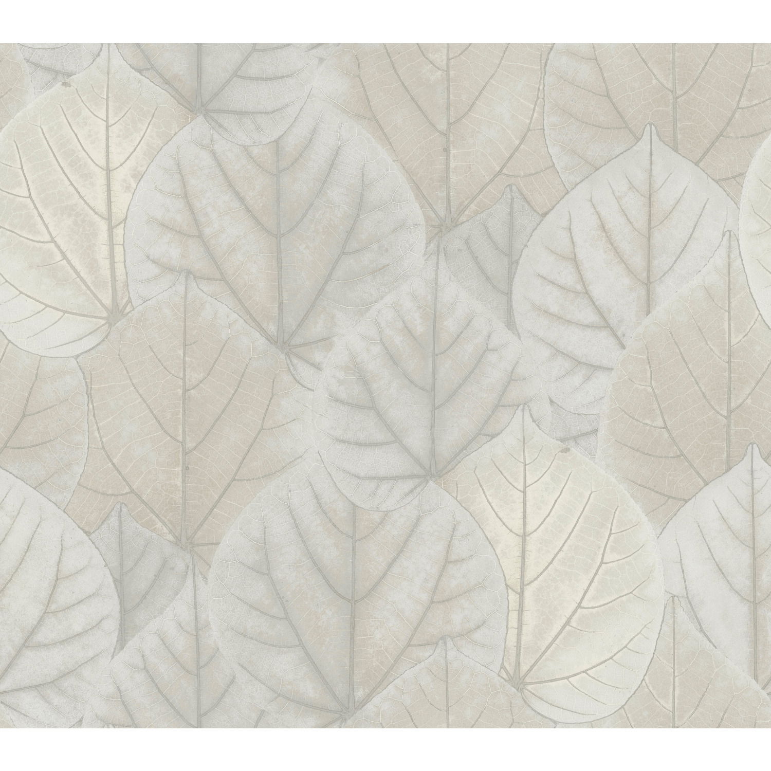 Leaf Concerto Grey Wallpaper, by York Wall, 27' length x 2'3" width x 0.02" depth View 1